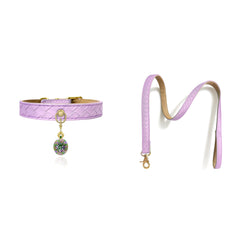 Woven Leather Pet Collar and Leash Set with Brass Pendant