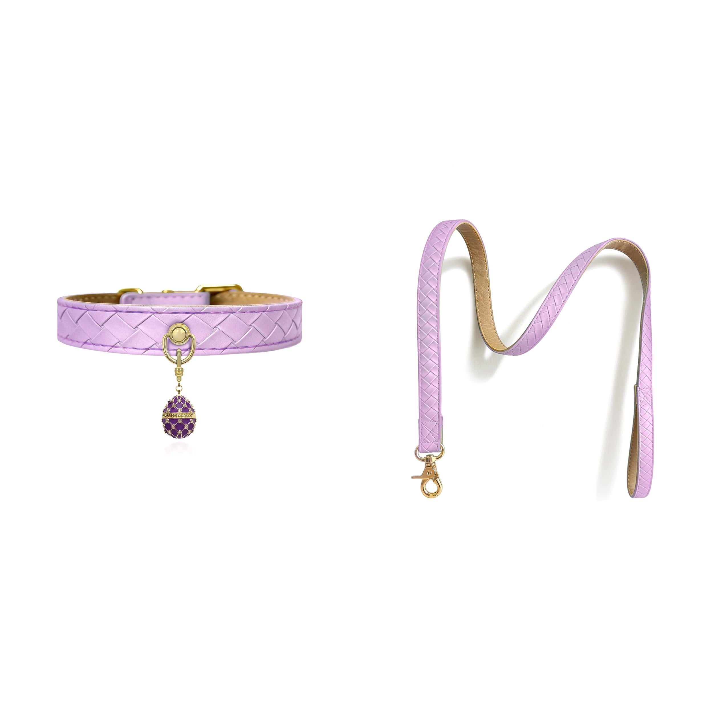Woven Leather Pet Collar and Leash Set with Brass Pendant